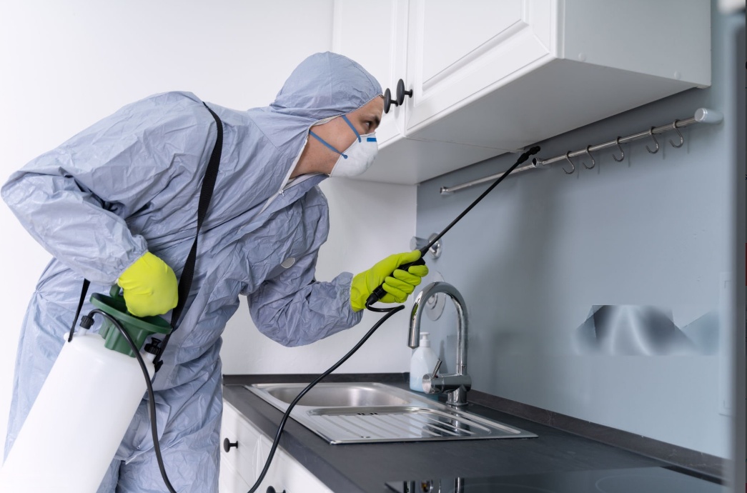 How to Prevent Cockroach Infestation